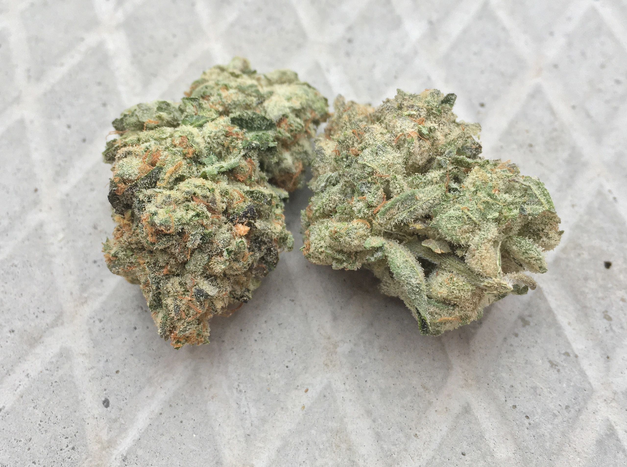 Lemon Kush Mints Mailbox Marijuana